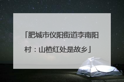 肥城市仪阳街道李南阳村：山楂红处是故乡