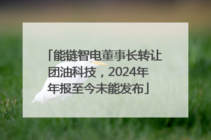 能链智电董事长转让团油科技，2024年年报至今未能发布