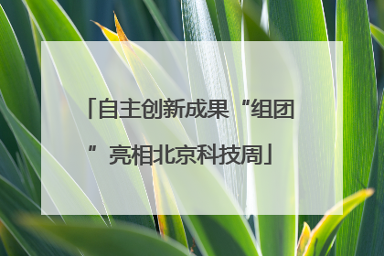 自主创新成果“组团”亮相北京科技周