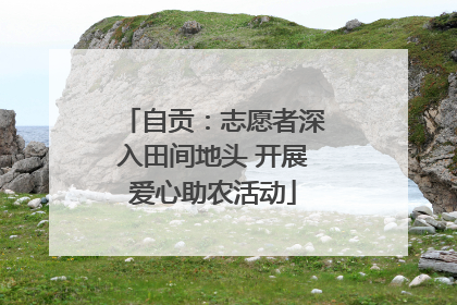 自贡：志愿者深入田间地头 开展爱心助农活动