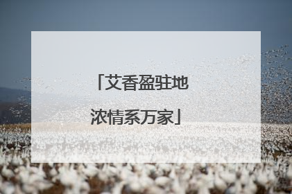 艾香盈驻地 浓情系万家