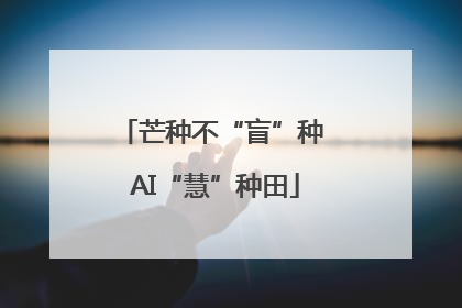 芒种不“盲”种 AI“慧”种田
