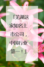 芜湖这家知名上市公司，中国行业第一！