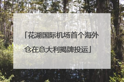 花湖国际机场首个海外仓在意大利揭牌投运