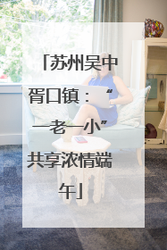 苏州吴中胥口镇：“一老一小”共享浓情端午