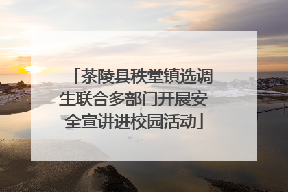 茶陵县秩堂镇选调生联合多部门开展安全宣讲进校园活动