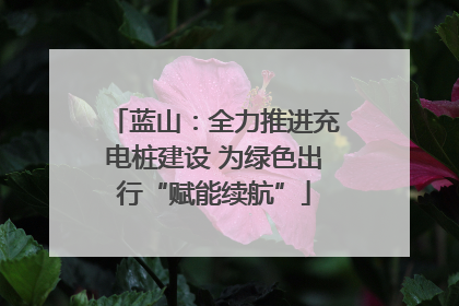 蓝山：全力推进充电桩建设 为绿色出行“赋能续航”