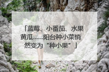 蓝莓、小番茄、水果黄瓜……阳台种小菜悄然变为“种小果”