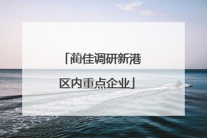 蔺佳调研新港区内重点企业