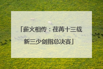 薪火相传：荏苒十三载 新三少剑指总决赛