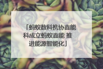 蚂蚁数科携协鑫能科成立蚂蚁鑫能 推进能源智能化