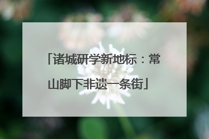 诸城研学新地标：常山脚下非遗一条街