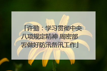 许勤：学习贯彻中央八项规定精神 周密部署做好防汛备汛工作