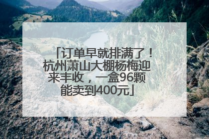 订单早就排满了！杭州萧山大棚杨梅迎来丰收，一盒96颗能卖到400元