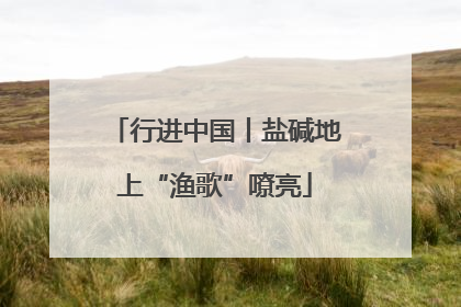 行进中国丨盐碱地上“渔歌”嘹亮
