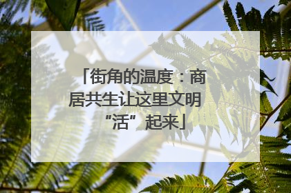 街角的温度：商居共生让这里文明“活”起来