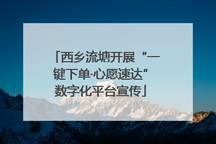 西乡流塘开展“一键下单·心愿速达”数字化平台宣传