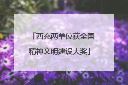 西充两单位获全国精神文明建设大奖