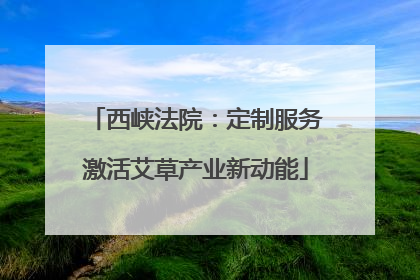 西峡法院：定制服务激活艾草产业新动能
