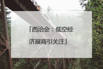 西洽会：低空经济展商引关注