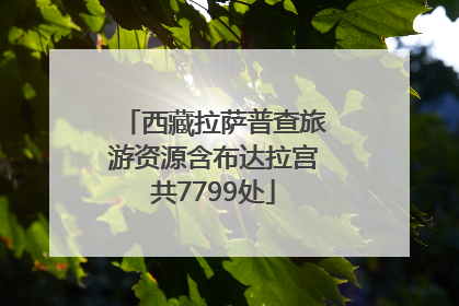 西藏拉萨普查旅游资源含布达拉宫共7799处