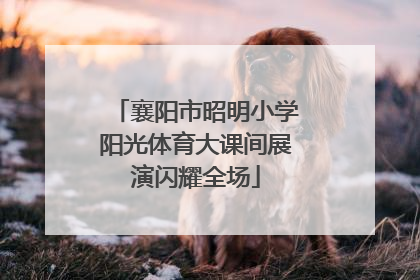 襄阳市昭明小学阳光体育大课间展演闪耀全场