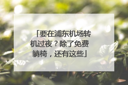 要在浦东机场转机过夜？除了免费躺椅，还有这些