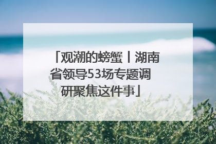 观潮的螃蟹丨湖南省领导53场专题调研聚焦这件事