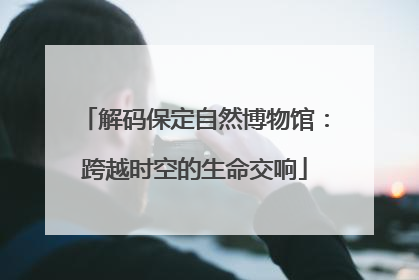 解码保定自然博物馆：跨越时空的生命交响