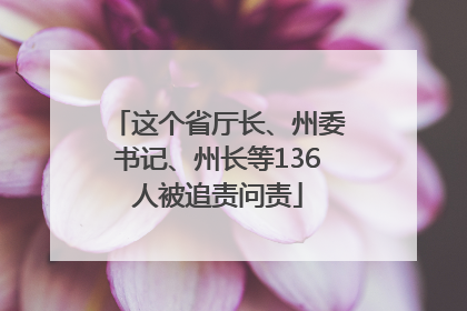 这个省厅长、州委书记、州长等136人被追责问责