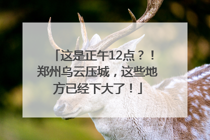 这是正午12点？！郑州乌云压城，这些地方已经下大了！