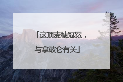 这顶麦穗冠冕，与拿破仑有关
