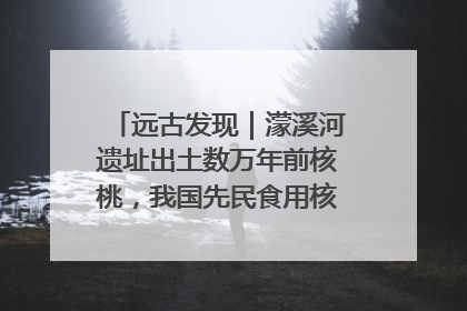 远古发现｜濛溪河遗址出土数万年前核桃，我国先民食用核桃历史大幅提前