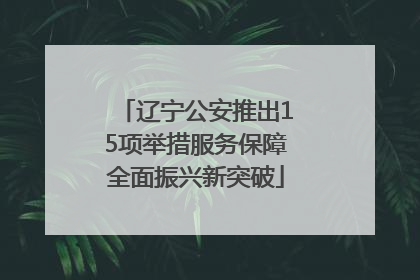 辽宁公安推出15项举措服务保障全面振兴新突破