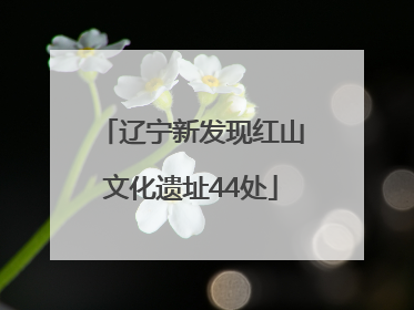 辽宁新发现红山文化遗址44处