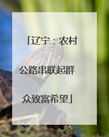辽宁：农村公路串联起群众致富希望