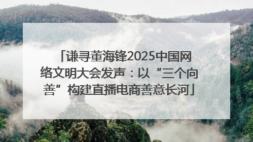 谦寻董海锋2025中国网络文明大会发声：以“三个向善”构建直播电商善意长河