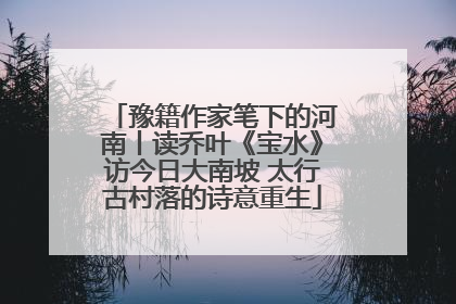 豫籍作家笔下的河南丨读乔叶《宝水》访今日大南坡 太行古村落的诗意重生