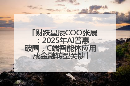 财跃星辰COO张展：2025年AI普惠破圈，C端智能体应用成金融转型关键