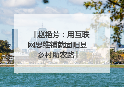 赵艳芳：用互联网思维铺就固阳县乡村助农路
