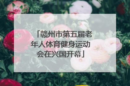 赣州市第五届老年人体育健身运动会在兴国开幕