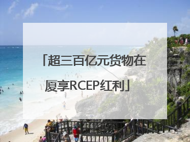 超三百亿元货物在厦享RCEP红利