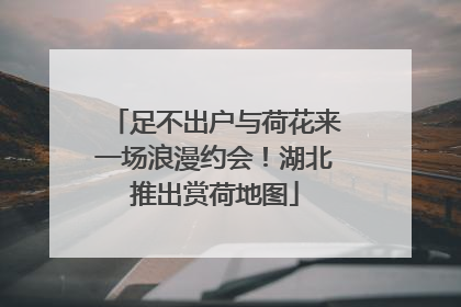 足不出户与荷花来一场浪漫约会！湖北推出赏荷地图