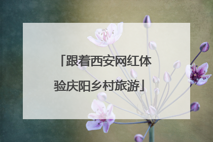 跟着西安网红体验庆阳乡村旅游