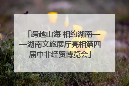 跨越山海 相约湖南——湖南文旅展厅亮相第四届中非经贸博览会