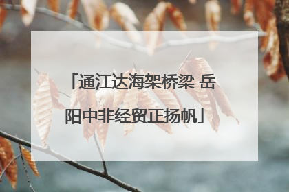 通江达海架桥梁 岳阳中非经贸正扬帆