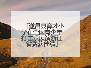 遂昌县育才小学在全国青少年打击乐展演浙江省赛获佳绩