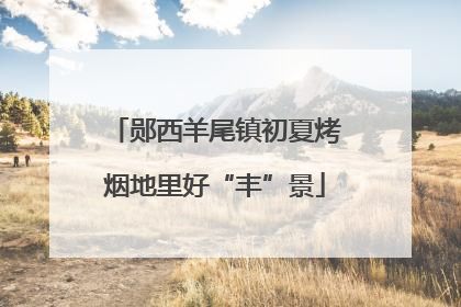 郧西羊尾镇初夏烤烟地里好“丰”景