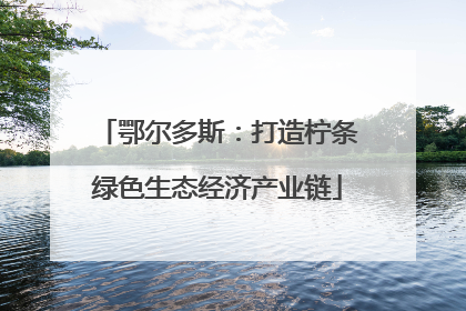 鄂尔多斯：打造柠条绿色生态经济产业链