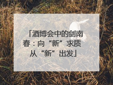 酒博会中的剑南春：向“新”求质 从“新”出发